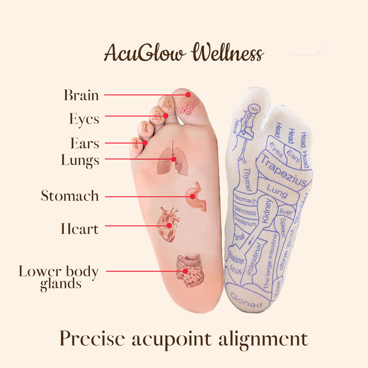 Foot Reflexology Socks